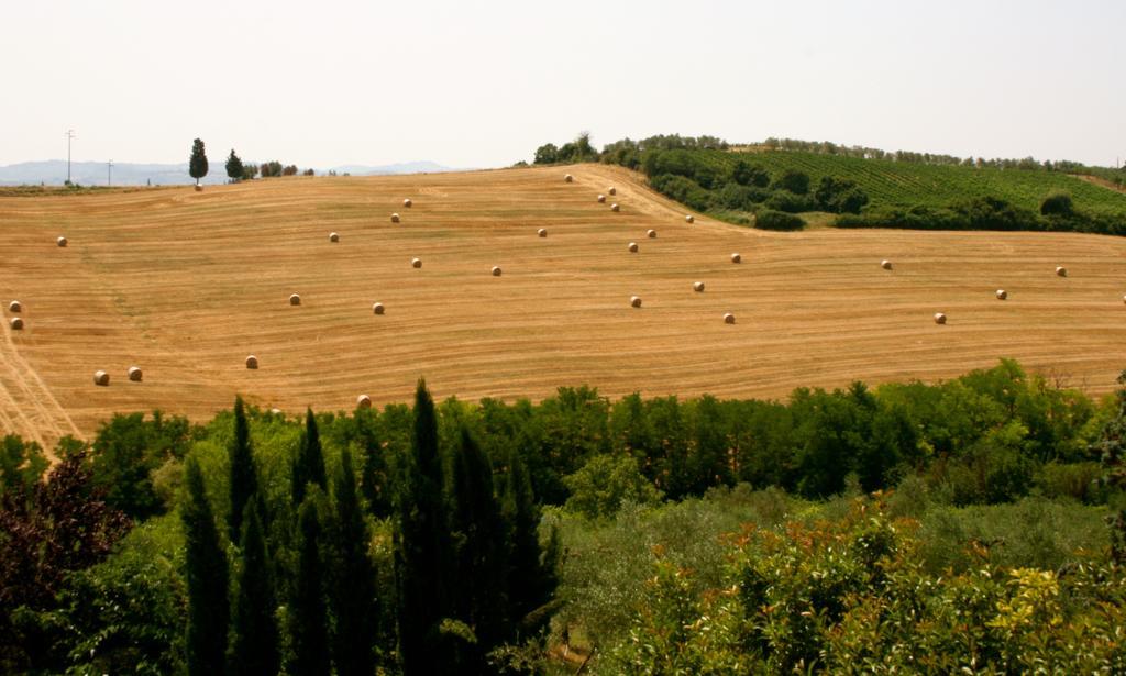 Podere Gattabigia Lastra a Signa Esterno foto